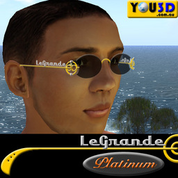 Platinum by LEGRANDE Sunglasses Black